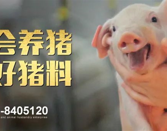 新浦京澳门娱乐官网2024年2月饲料原料运输招标公告